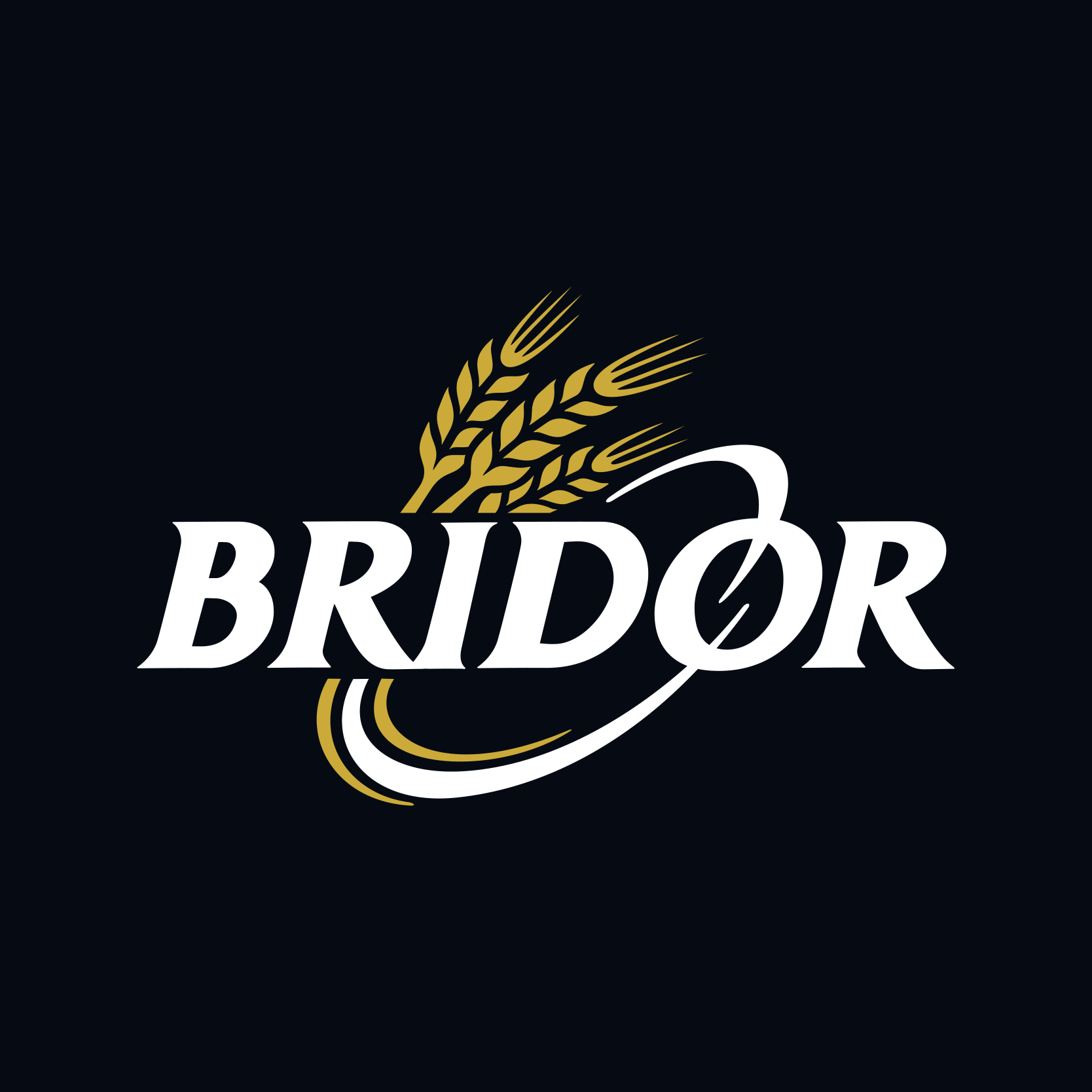 Logo Bridor – RVB